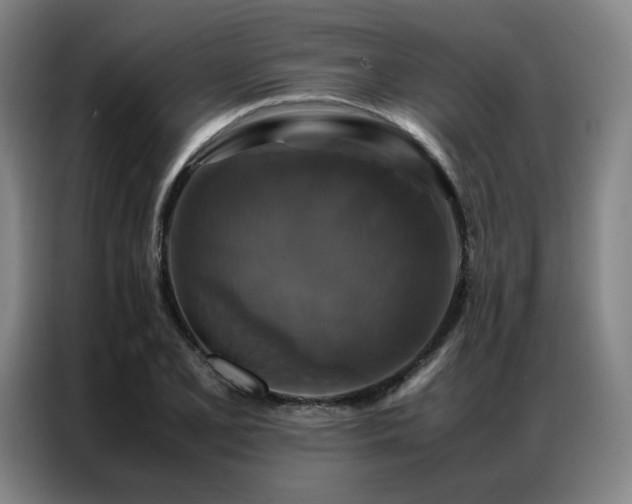 X0000087371077200704201224
