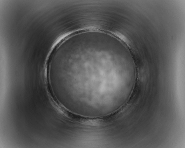 X0000087371078200704201224