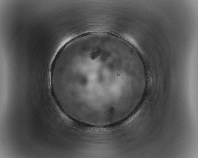 X0000087371079200704201224