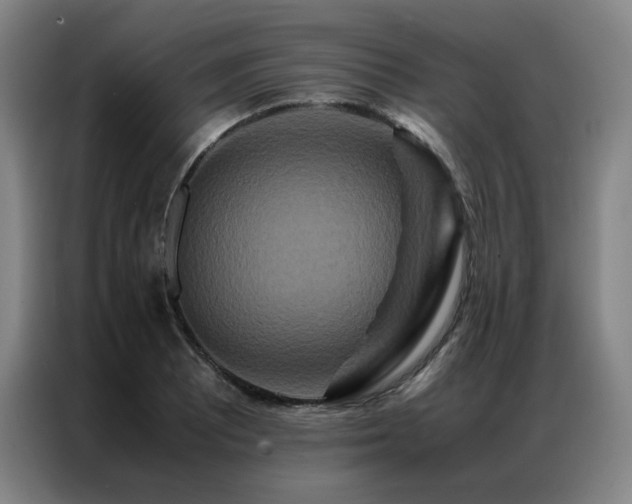 X0000087371081200704201223