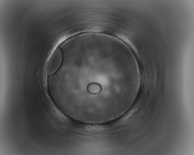 X0000087371083200704201223