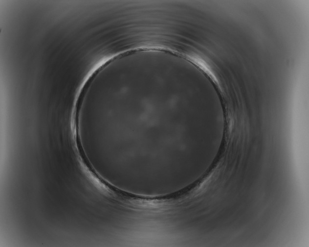 X0000087371084200704201223