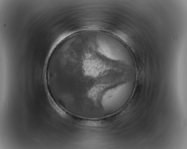 X0000087371086200704201223