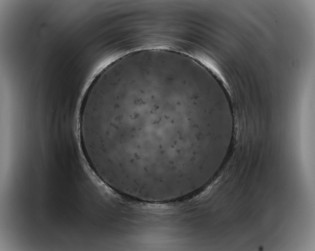 X0000087371088200704201223
