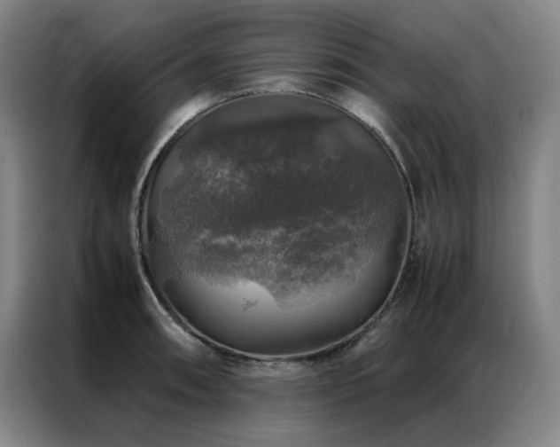 X0000087371090200704201223