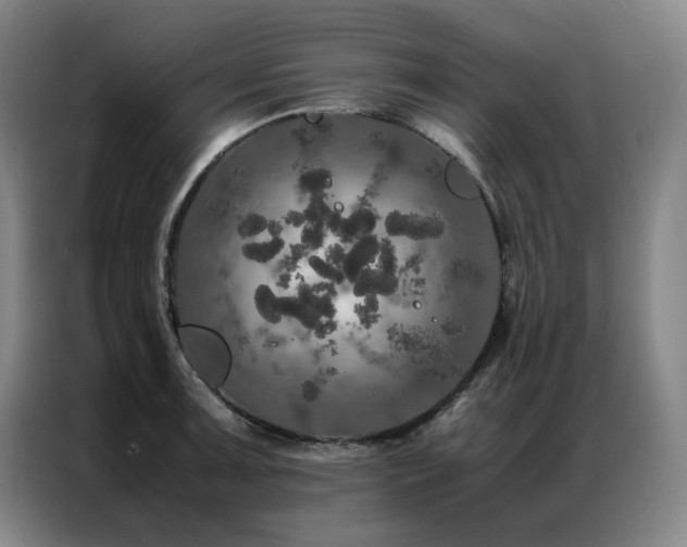 X0000087371091200704201223