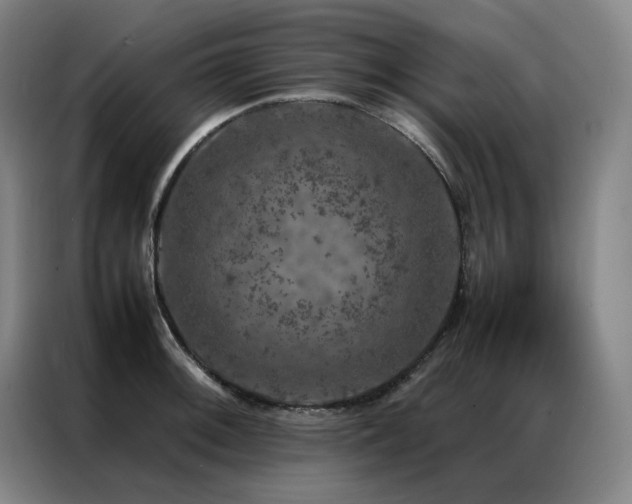 X0000087371092200704201223