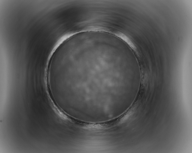 X0000087371094200704201223
