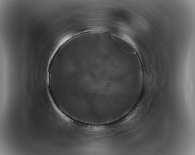 X0000087371095200704201223