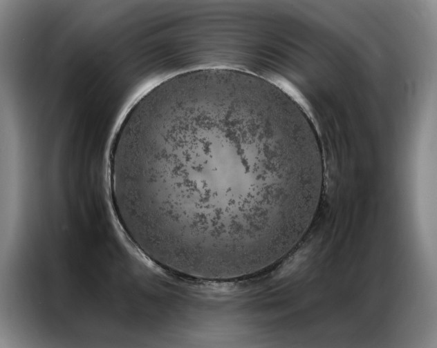 X0000087371096200704201223
