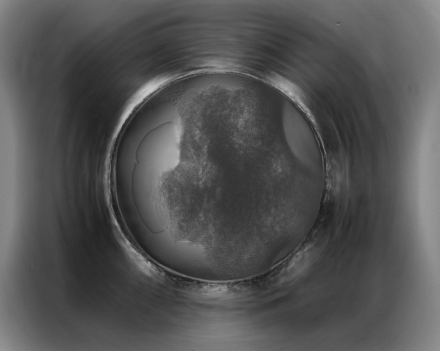 X0000087371098200704201223