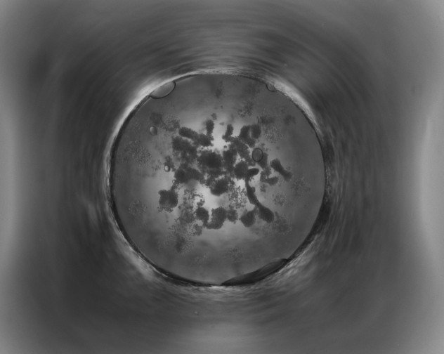 X0000087371099200704201223