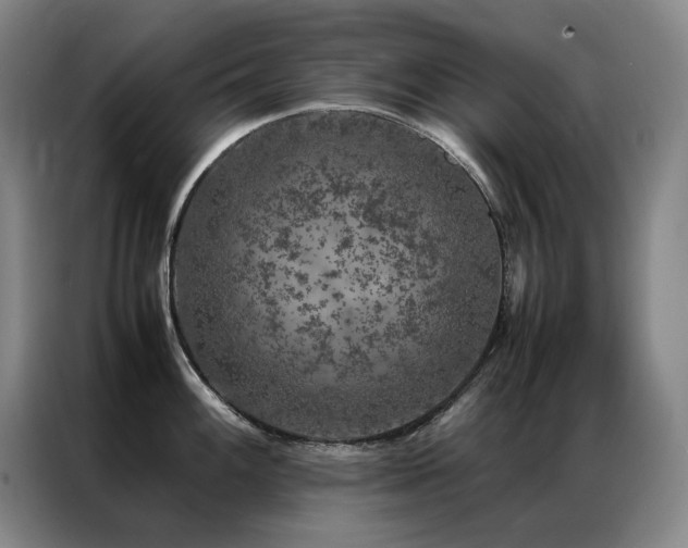 X0000087371100200704201223