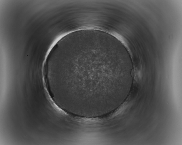 X0000087371102200704201223