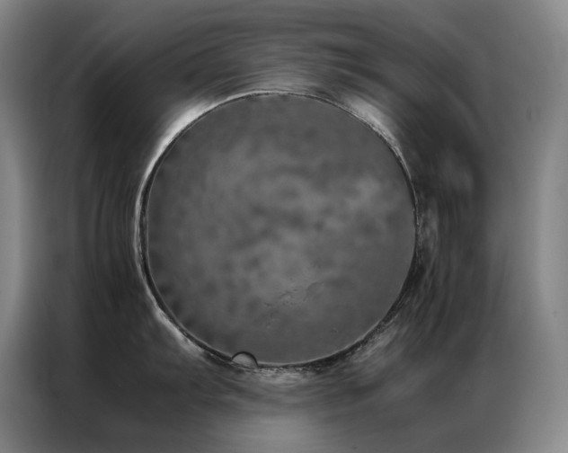 X0000087371103200704201223