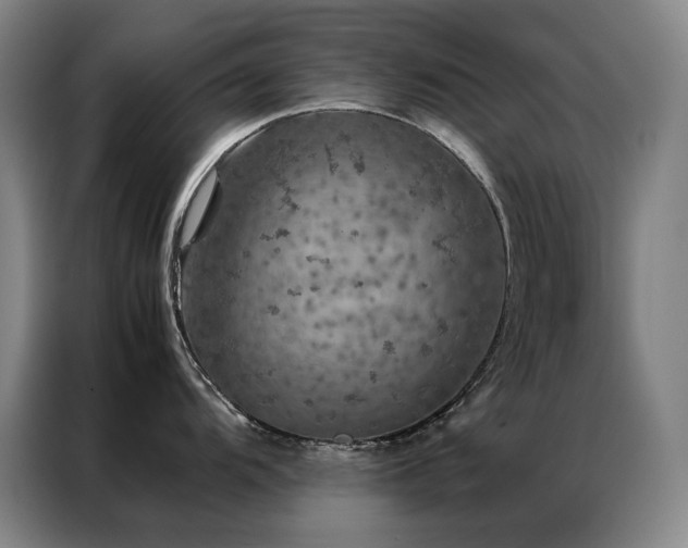 X0000087371104200704201223