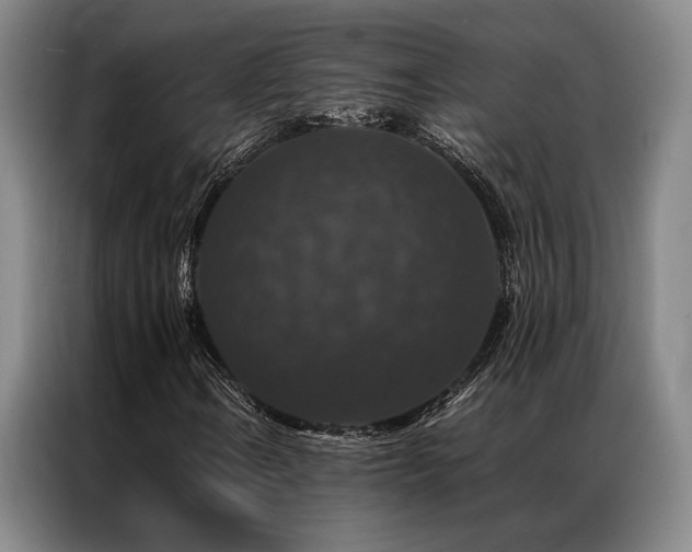 X0000087371106200704201223