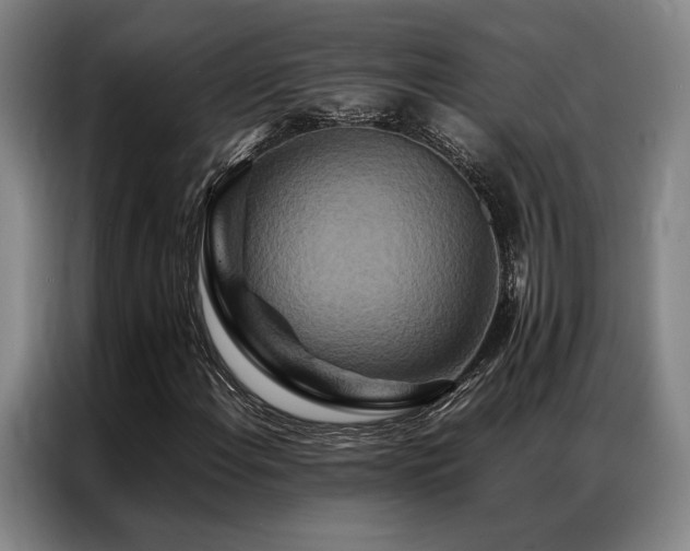 X0000087371108200704201223