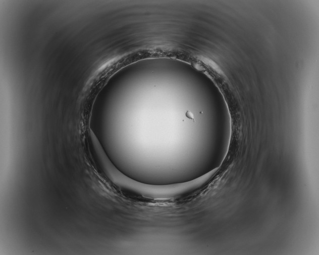 X0000087371112200704201223