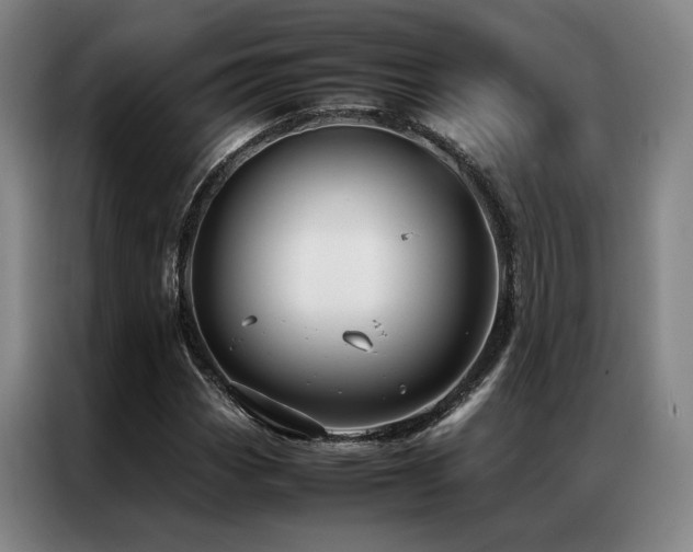 X0000087371113200704201223