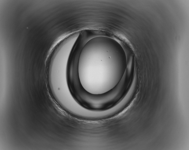 X0000087371114200704201223