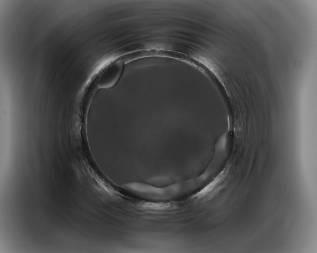 X0000087371115200704201223