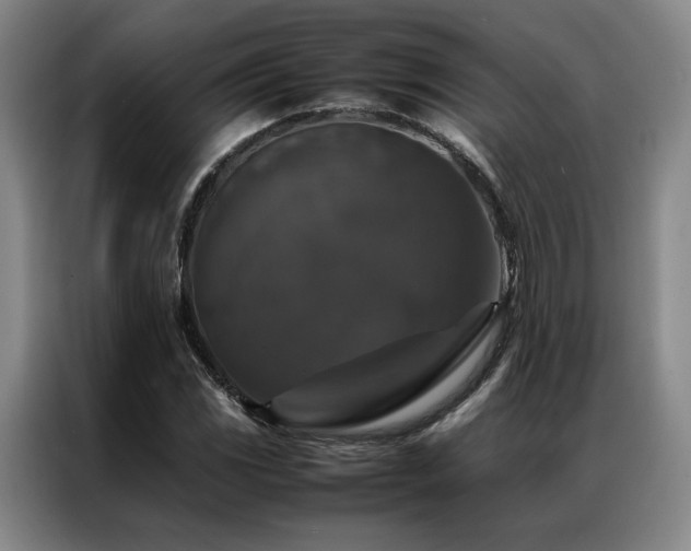 X0000087371117200704201223