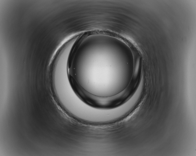 X0000087371118200704201223