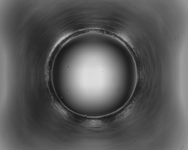 X0000087371119200704201223