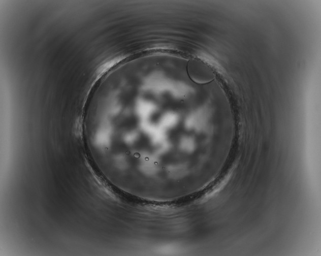 X0000087371121200704201223