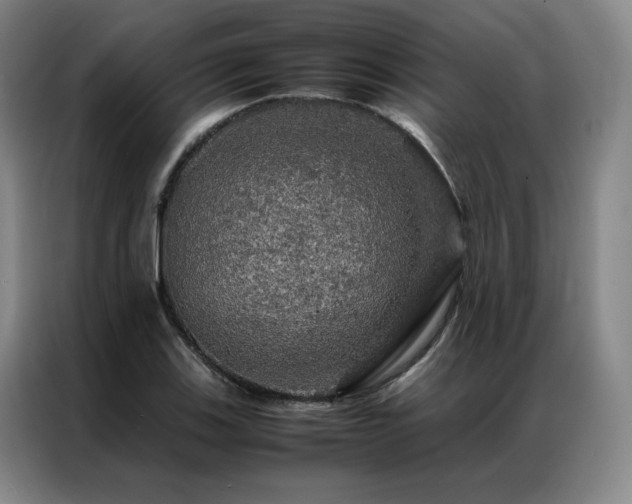 X0000087371123200704201223