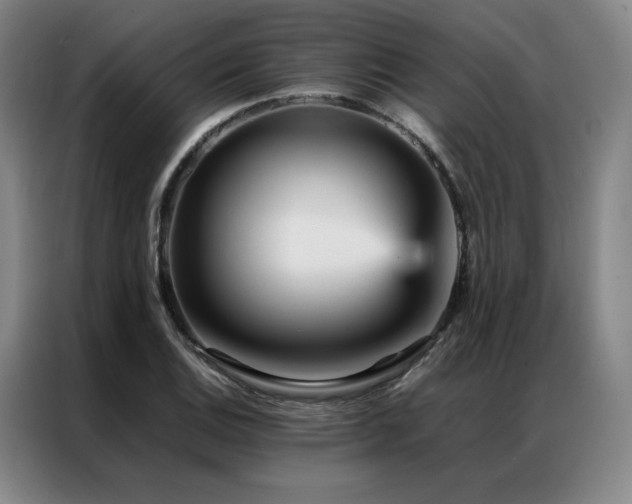 X0000087371124200704201223
