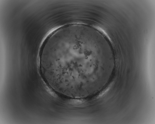X0000087371125200704201223
