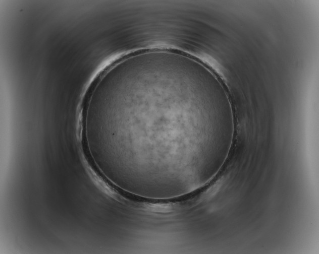X0000087371126200704201223