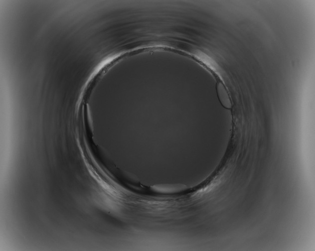 X0000087371127200704201223
