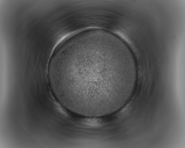 X0000087371129200704201223