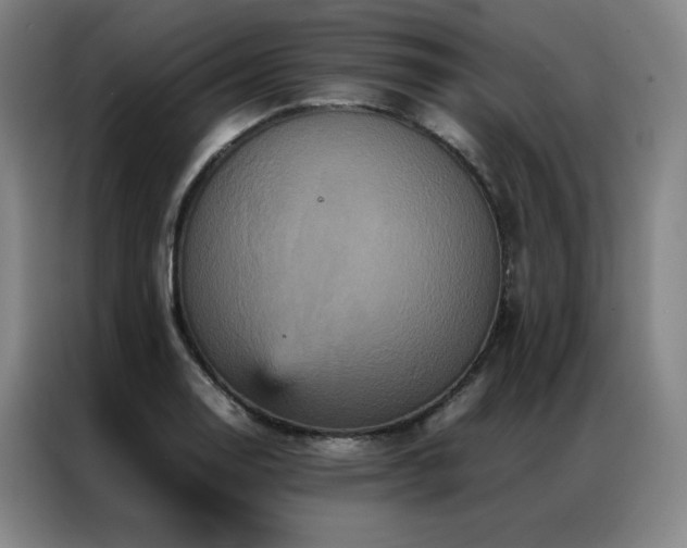 X0000087371130200704201223