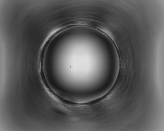 X0000087371131200704201223