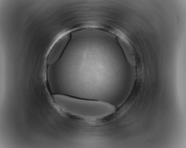 X0000087371132200704201223