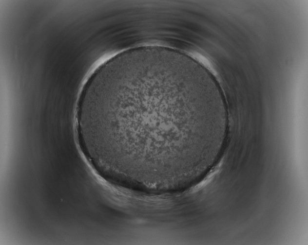 X0000087371133200704201223