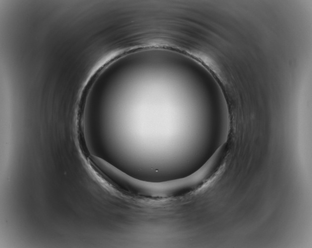 X0000087371134200704201223