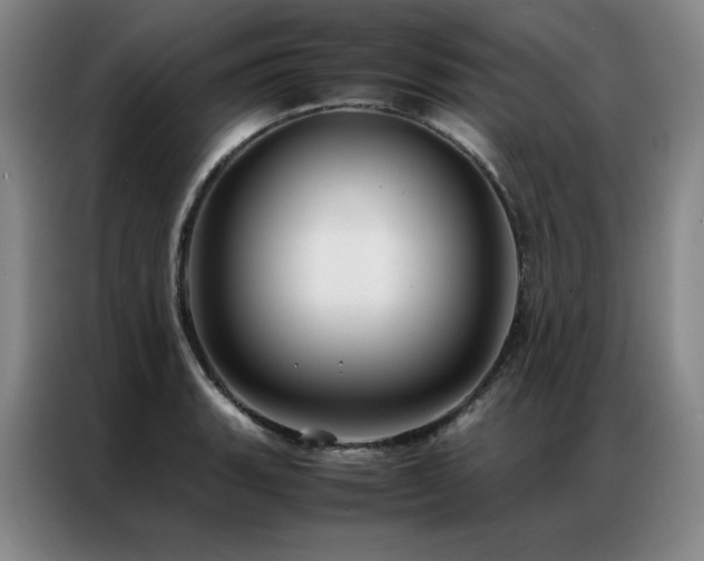 X0000087371135200704201223