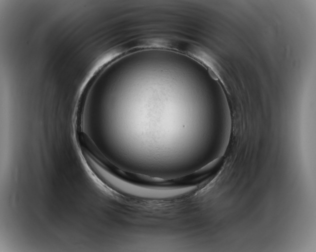 X0000087371139200704201223