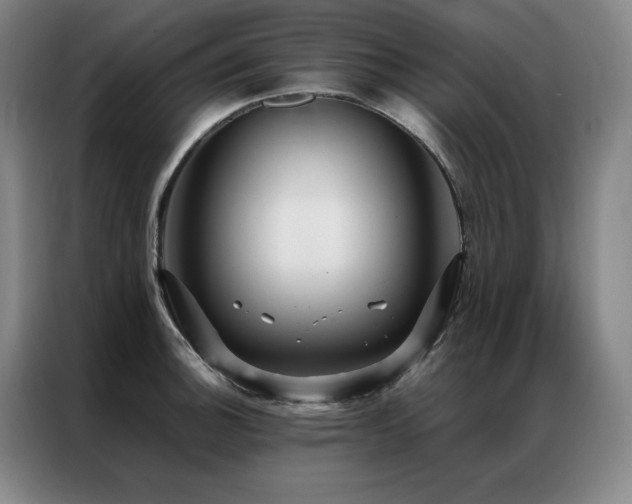 X0000087371140200704201223