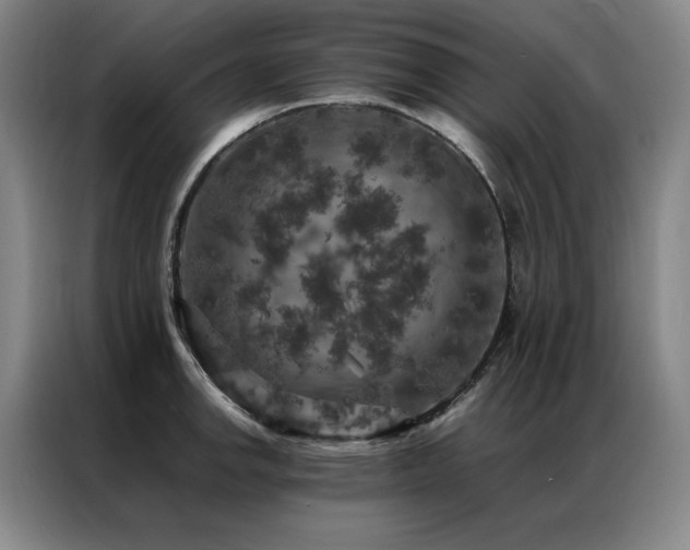 X0000087371142200704201223