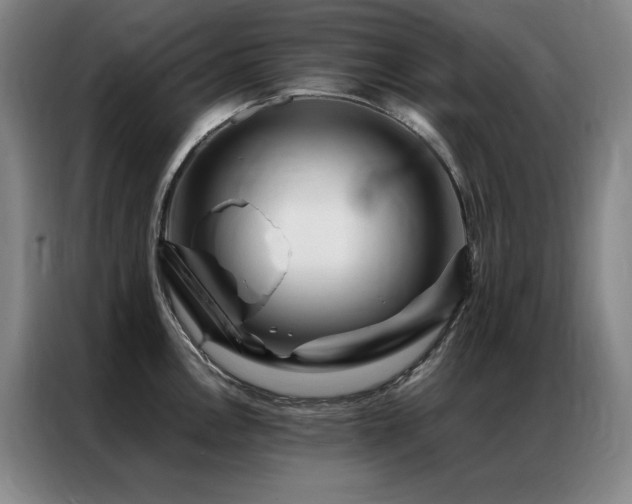X0000087371146200704201223