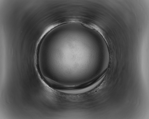 X0000087371147200704201223