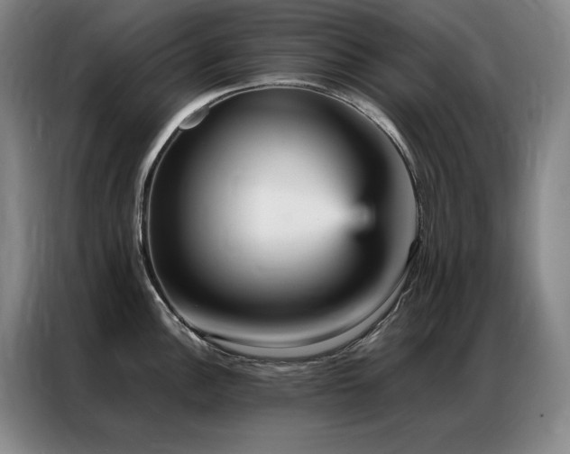X0000087371148200704201223