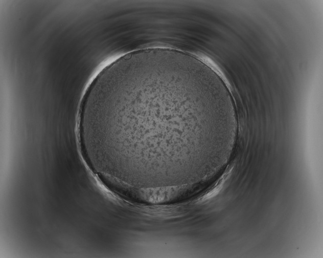 X0000087371149200704201223