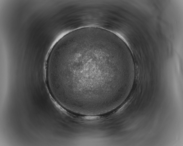 X0000087371151200704201223